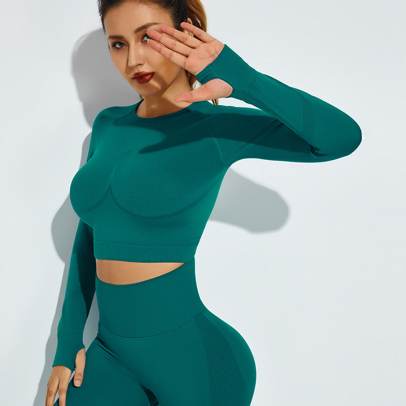 Seamless Knitted full sleeve top