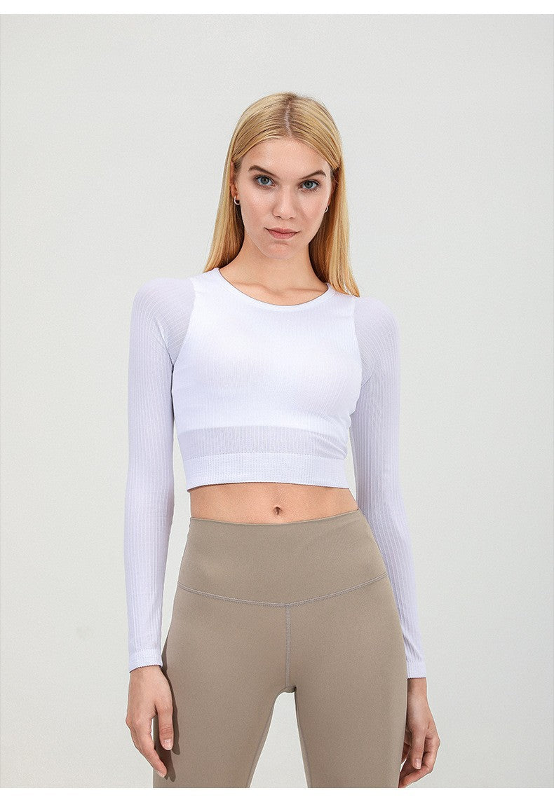 Seamless Knitted full sleeve top