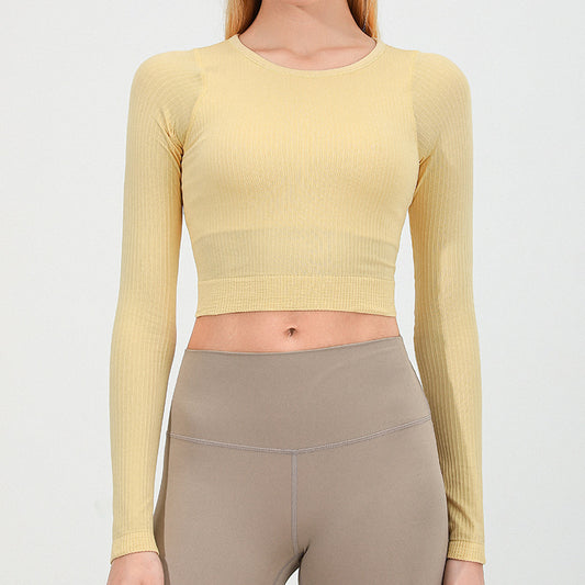 Seamless Knitted full sleeve top