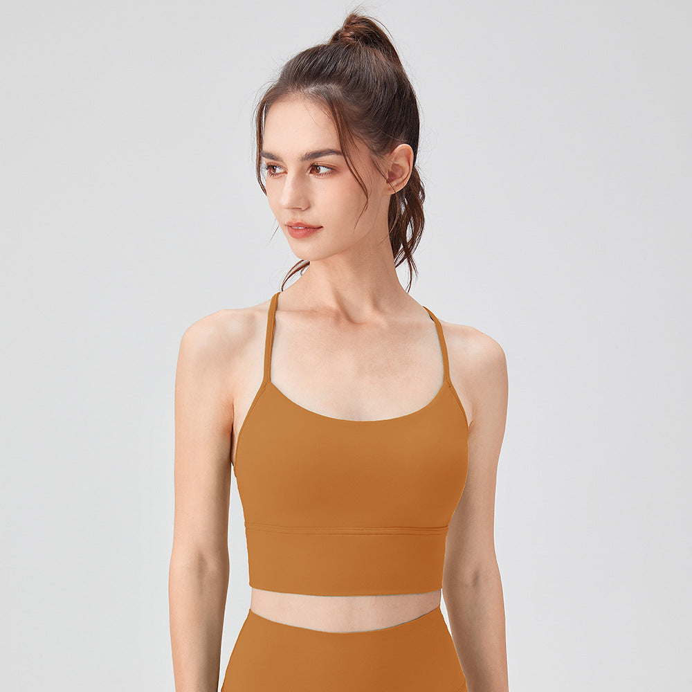 Gold Spice