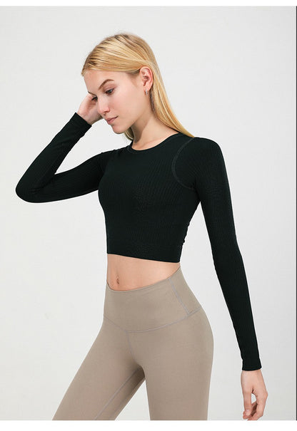 Seamless Knitted full sleeve top