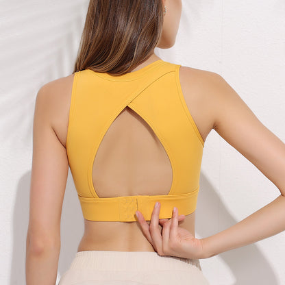 Daisy Yellow
