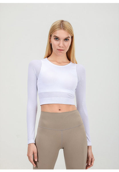 Seamless Knitted full sleeve top