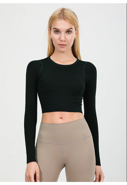Seamless Knitted full sleeve top