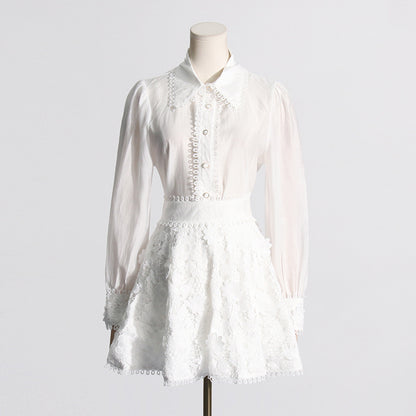 Embroidered lace skirt and top set